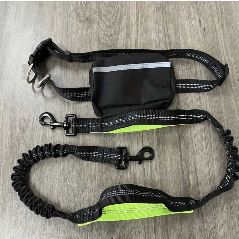 Ensemble collier et laisse réfléchissants pour chien – Idéal pour la course et la marche