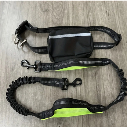Ensemble collier et laisse réfléchissants pour chien – Idéal pour la course et la marche