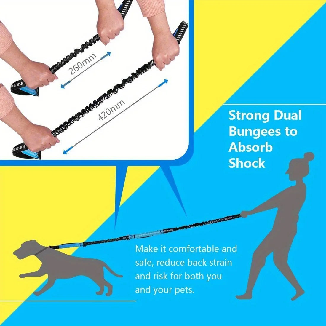 Ensemble collier et laisse réfléchissants pour chien – Idéal pour la course et la marche