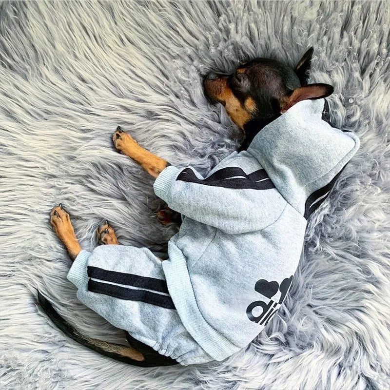 Combinaison à capuche pour chien Adidog - Chaude et élégante 