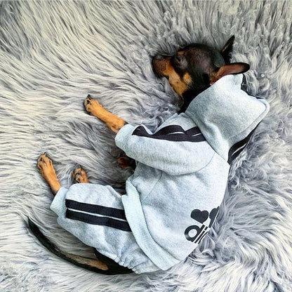 Combinaison à capuche pour chien Adidog - Chaude et élégante 