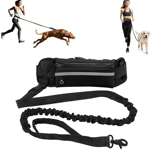 Laisse pour chien mains libres pour courir, marcher, laisse réfléchissante avec sac banane, ceinture élastique rétractable, corde de traction pour chien, produits pour animaux de compagnie