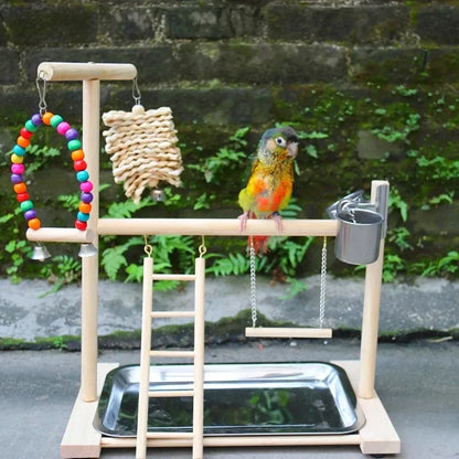 Aire de jeux pour oiseaux avec perchoirs – Aire de jeux avec mangeoires, balançoire et échelle d’escalade pour perruches, calopsittes et inséparables