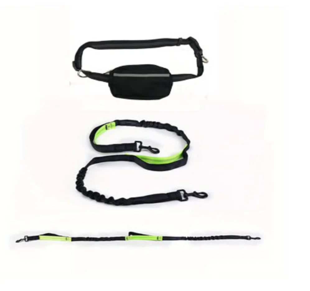 Reflective Hands-Free Dog Collar and Leash Set – Perfect for Running and Walking