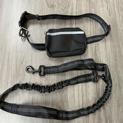 Ensemble collier et laisse réfléchissants pour chien – Idéal pour la course et la marche
