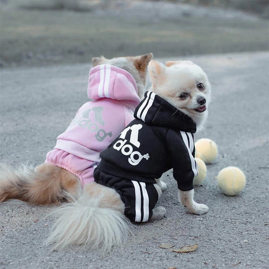 Combinaison à capuche pour chien Adidog - Chaude et élégante 
