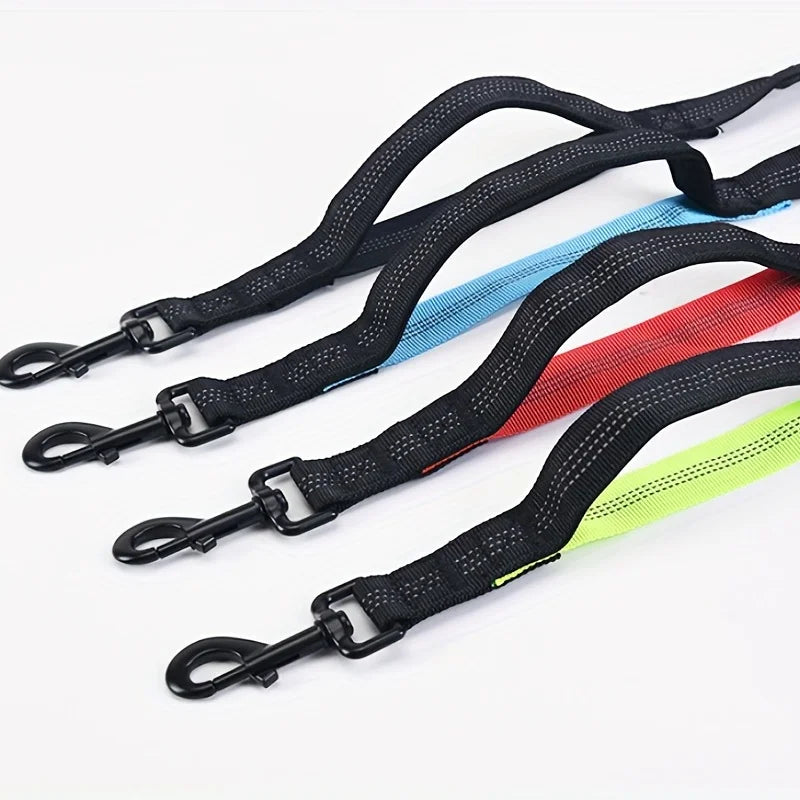 Ensemble collier et laisse réfléchissants pour chien – Idéal pour la course et la marche