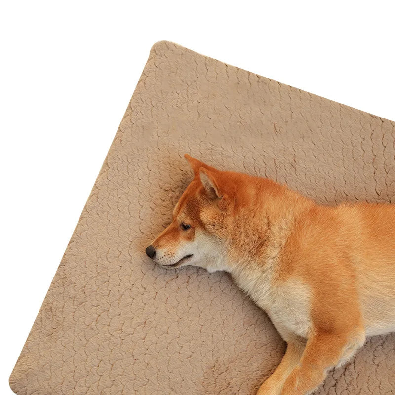 Tapis pour chien de compagnie Coussin Grand chiot Résistant à l'usure Tapis imperméable Maison Moyen Grand Lit Rembourrage pour chien Accessoires Fournitures Canapé Tapis