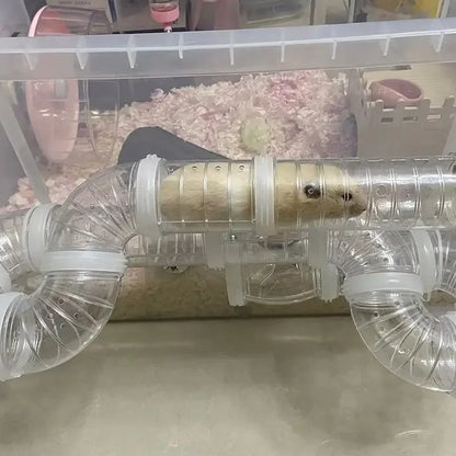Tunnel labyrinthe pour hamster à faire soi-même – Personnalisable et amusant