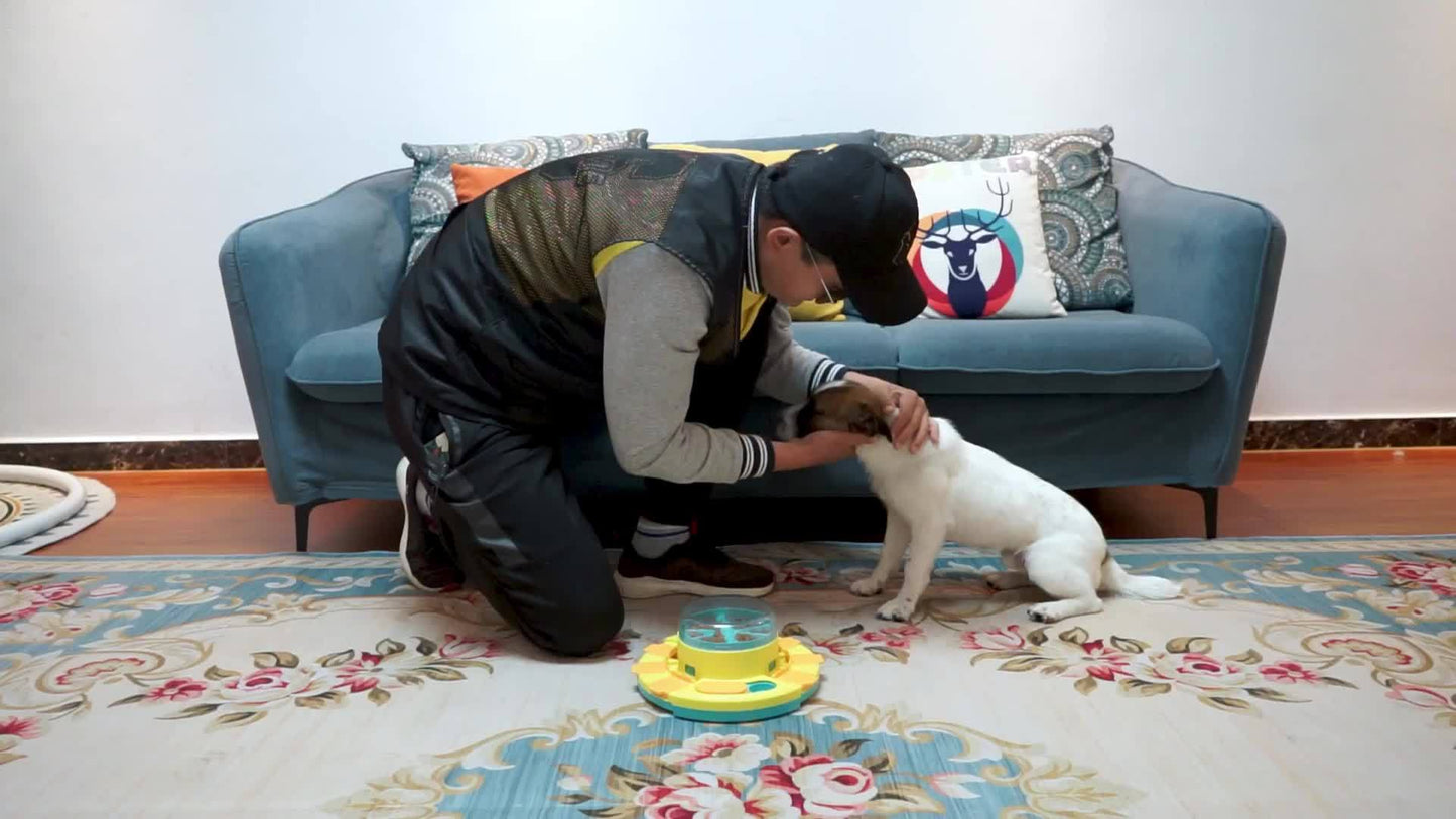 Mangeoire interactive pour chien - Jouet à friandises à alimentation lente