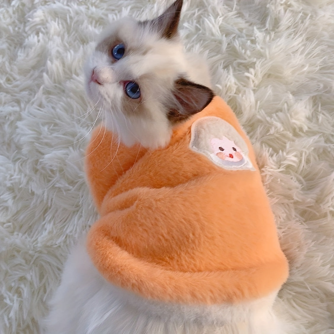 Gilet épais et chaud pour chat adorable – Tenue confortable pour l'automne et l'hiver, empêche la perte de poils 