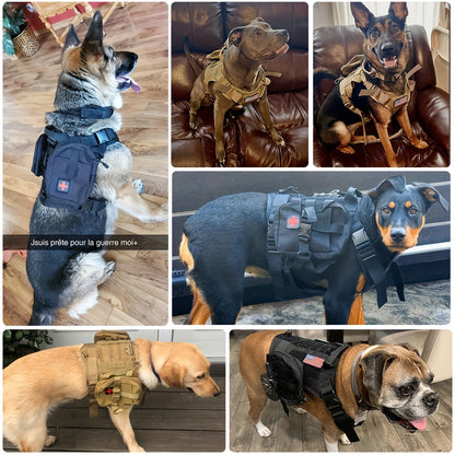 Harnais tactique pour grand chien – Gilet d’entraînement robuste pour races moyennes et grandes