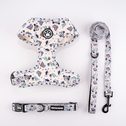 Ensemble harnais et laisse pour chien en tricot toutes saisons – Gilet de poitrine réglable et respirant avec boucle à pression