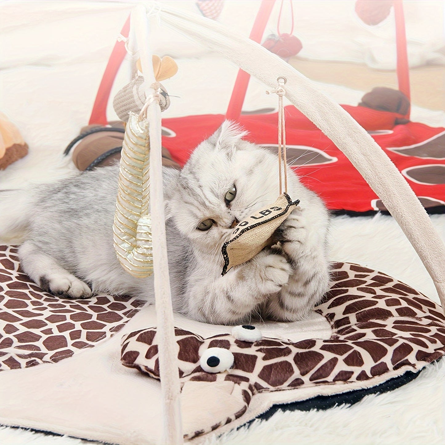 Centre d'activités pour chats avec jouets suspendus – Tente de jeu multifonctionnelle pour un divertissement interactif