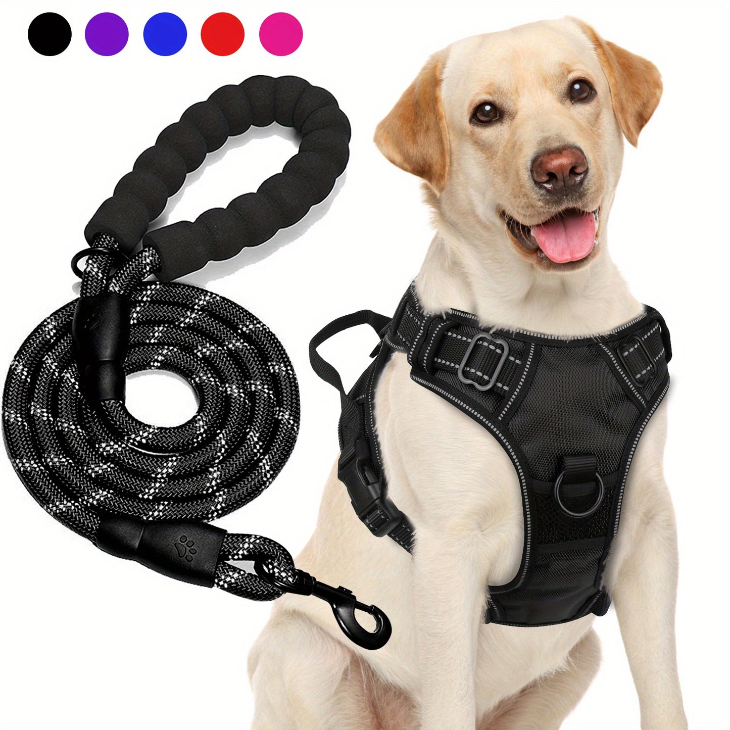 Ensemble harnais et laisse réfléchissants pour chien - Réglable et durable