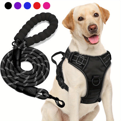 Ensemble harnais et laisse réfléchissants pour chien - Réglable et durable