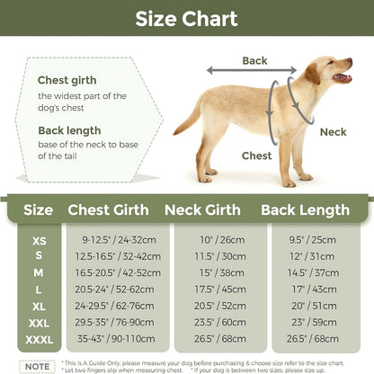 Manteau imperméable pour chien avec tissu tricoté, veste d'hiver remplie de polyester, lavable en machine, bordure réfléchissante, avec attache sécurisée, pour petites, moyennes et grandes races, idéal pour les vêtements d'extérieur automne/hiver