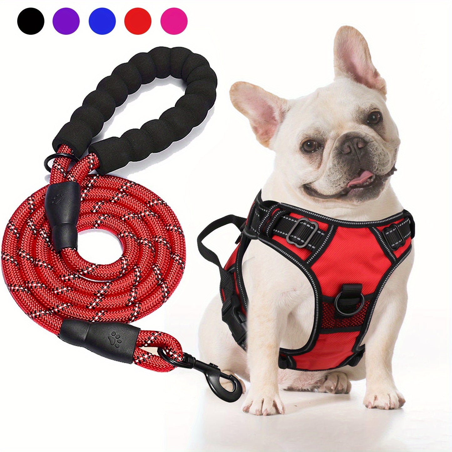 Ensemble harnais et laisse réfléchissants pour chien - Réglable et durable