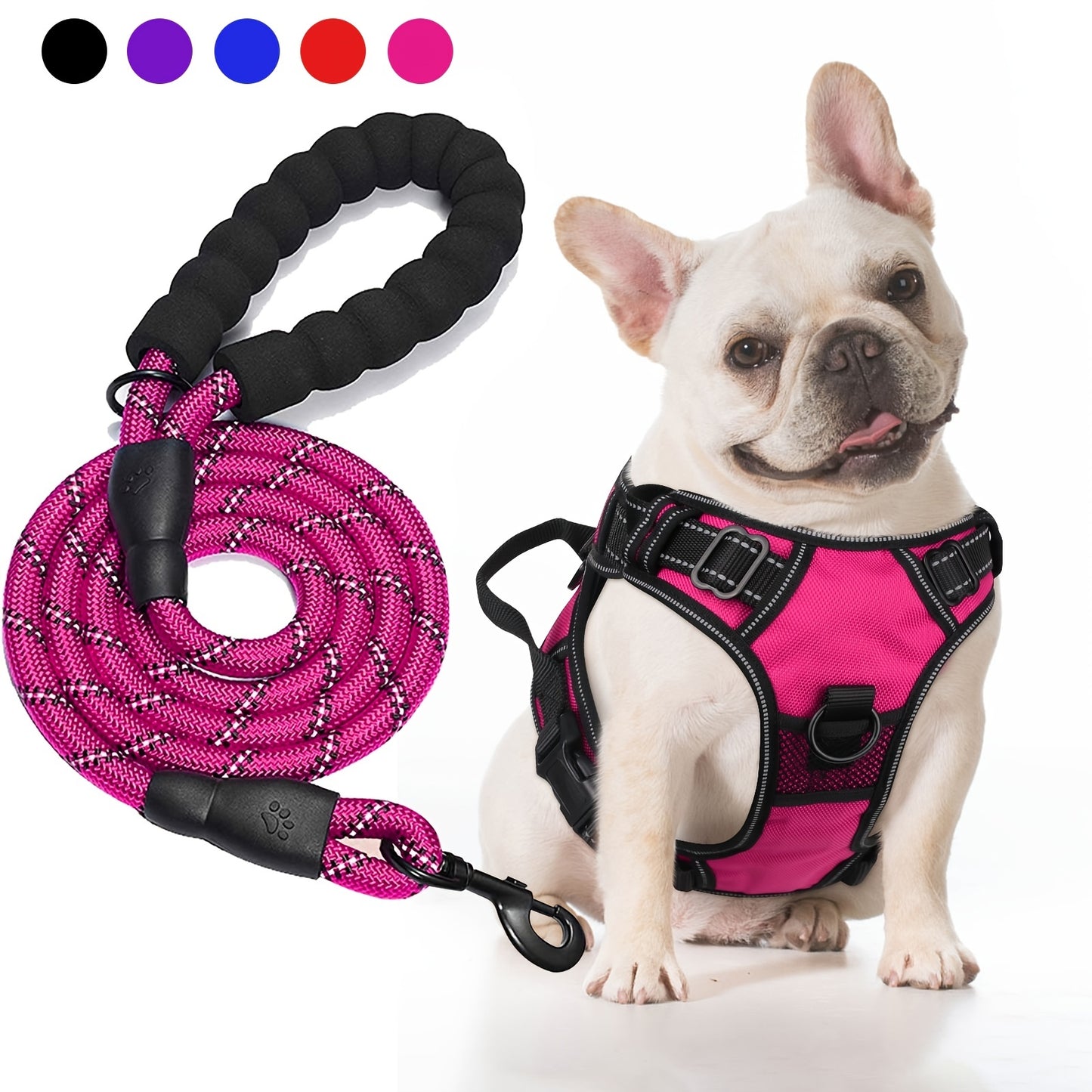 Ensemble harnais et laisse réfléchissants pour chien - Réglable et durable