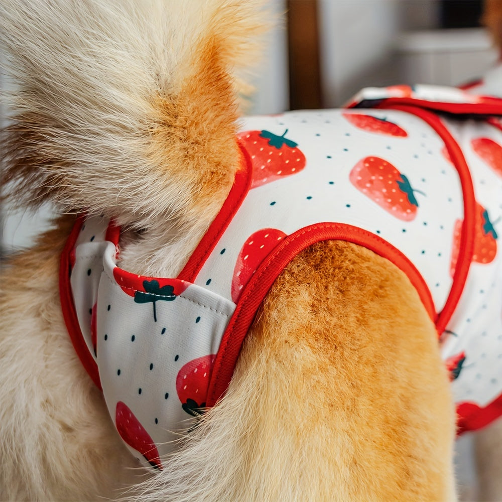 Genesungsweste für Hunde – bequem und flexibel 