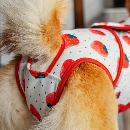Genesungsweste für Hunde – bequem und flexibel 