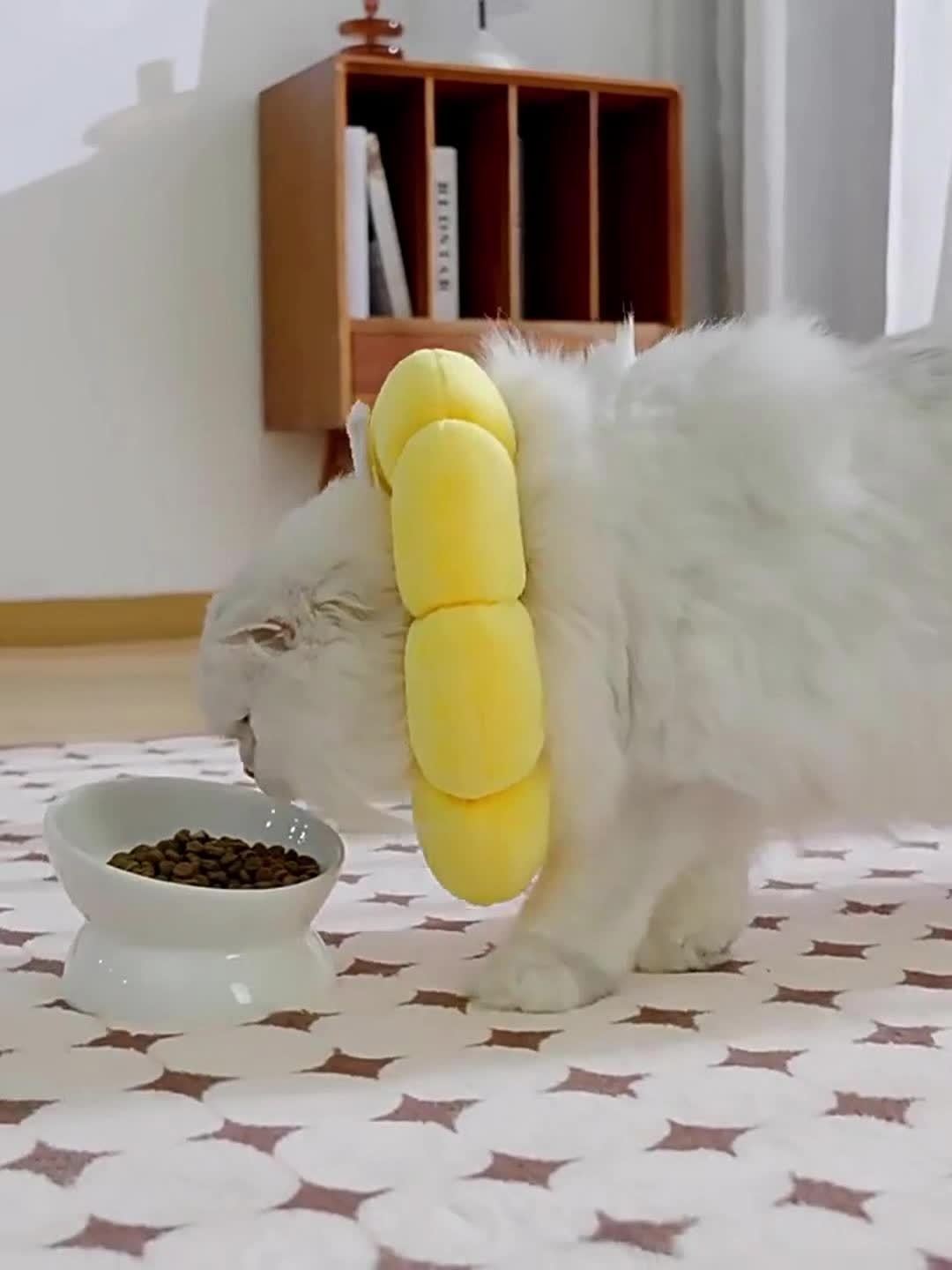 Soft Touch | Verstellbares Sonnenblumen-Halsband für Katzen und kleine Hunde – weiches Polyester, Cartoon-Design, Anti-Leck- und Kratzschutzkegel mit sicherem Schnallenriemen, Haustierhalsband 