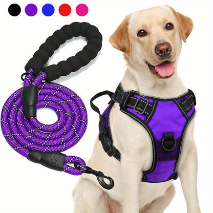 Ensemble harnais et laisse réfléchissants pour chien - Réglable et durable