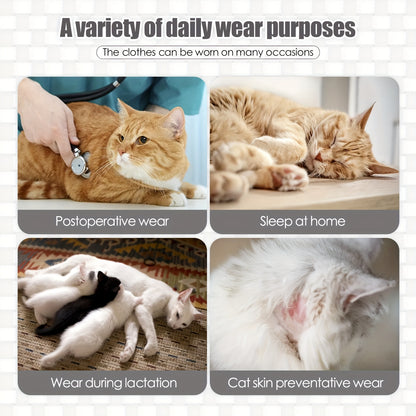Combinaison de récupération confortable pour chat - Respirante et anti-léchage