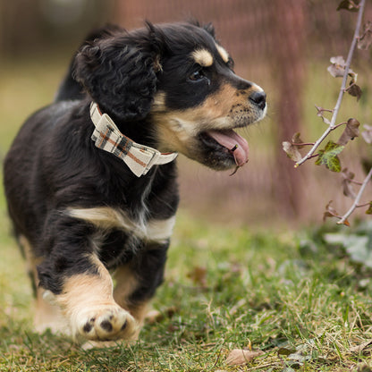 Ensemble de 3 colliers et laisses en cuir pour petit chien, nœud papillon à carreaux et bandana, joli collier pour chien avec clochette - Colliers réglables pour animaux de compagnie avec laisse de marche pour petit chien, chiot, chat