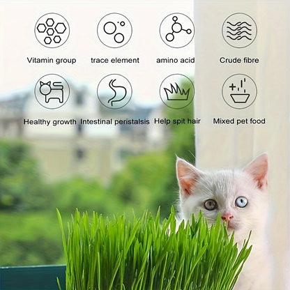 (Sans graines) Boîte de plantation d'herbe à chat, boîte de plantation hydroponique, plateau de germination de graines de jardin, ensemble de plateaux de germination de graines