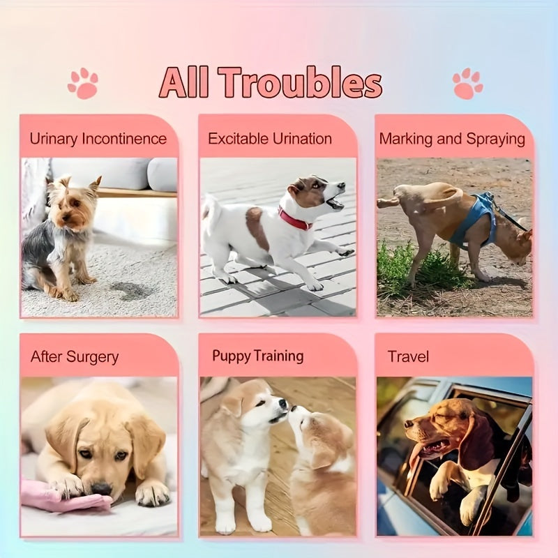 Couches pour animaux de compagnie Culottes pour chiens mâles et femelles 