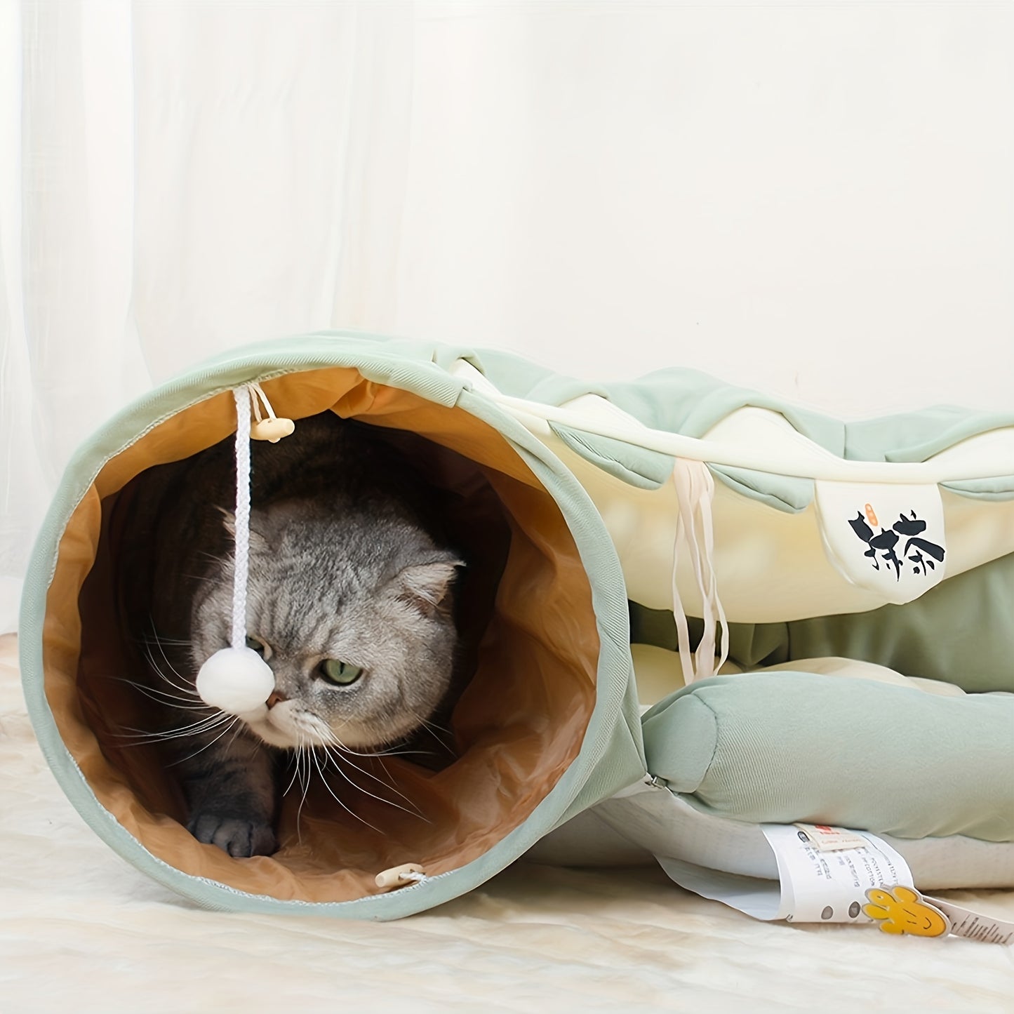 Tunnel pliable pour chat avec lit lavable – Jouet d'intérieur idéal pour les chats de petite et moyenne taille