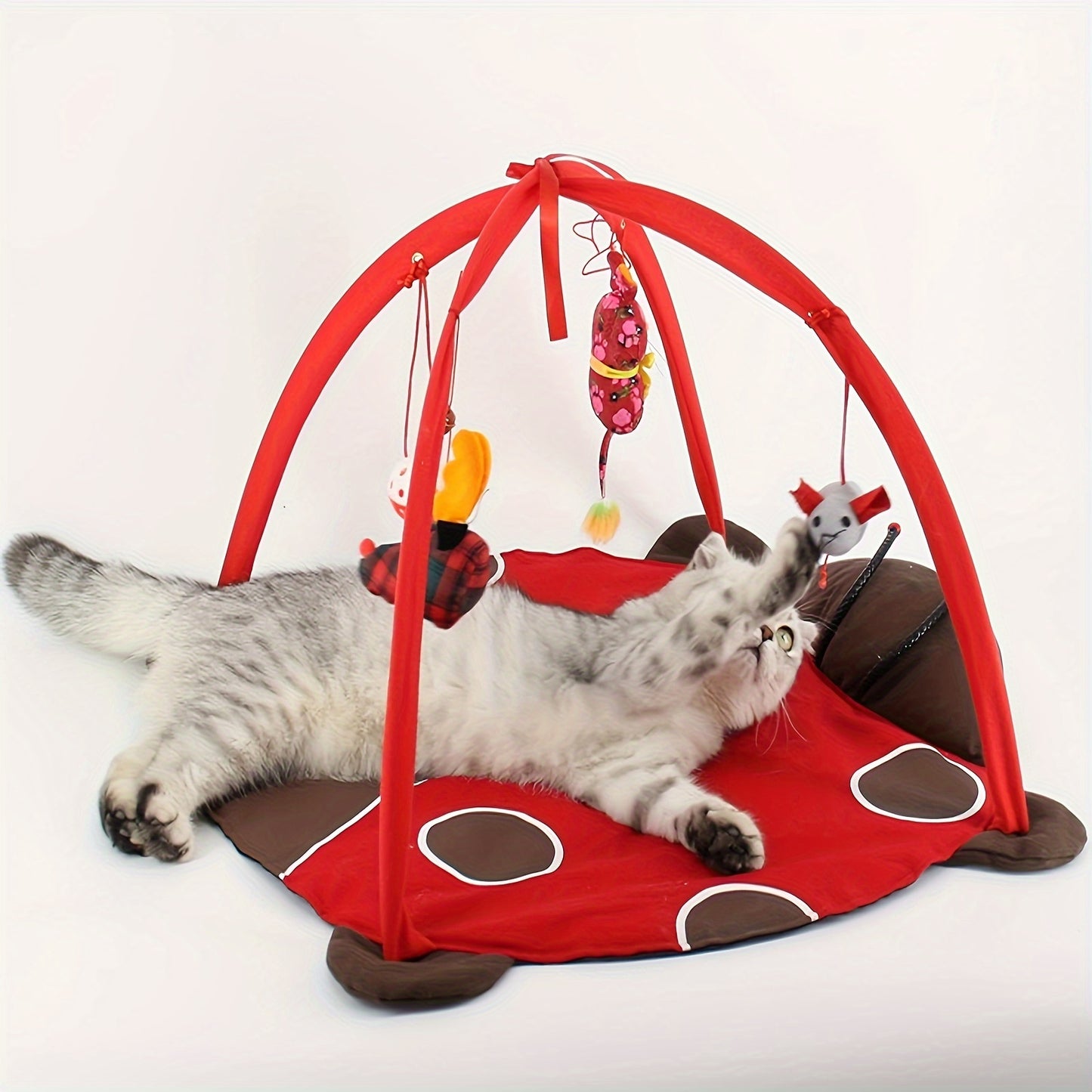Centre d'activités pour chats avec jouets suspendus – Tente de jeu multifonctionnelle pour un divertissement interactif