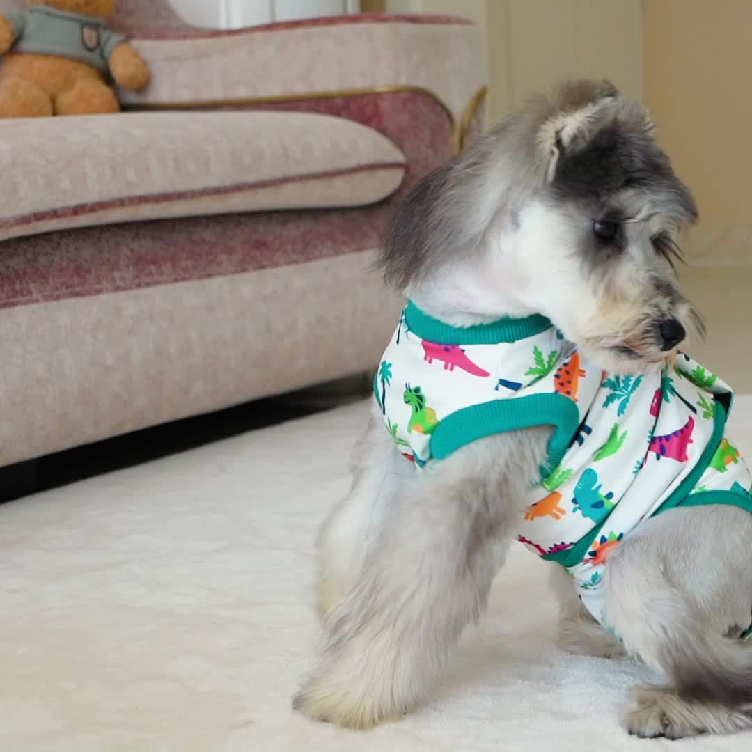 Genesungsweste für Hunde – bequem und flexibel 