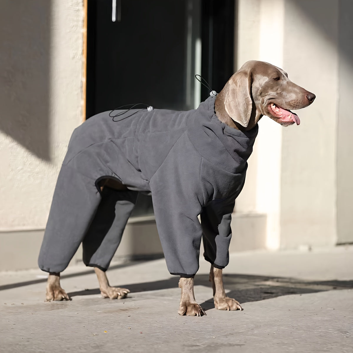 Pull polaire douillet pour chien – Chaleur hivernale pour les grandes races comme les Golden Retrievers et les Labradors