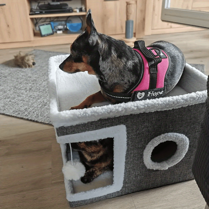 Maison de luxe à plusieurs étages pour chat - Lit à 2 niveaux et tunnel de jeu
