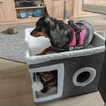 Maison de luxe à plusieurs étages pour chat - Lit à 2 niveaux et tunnel de jeu