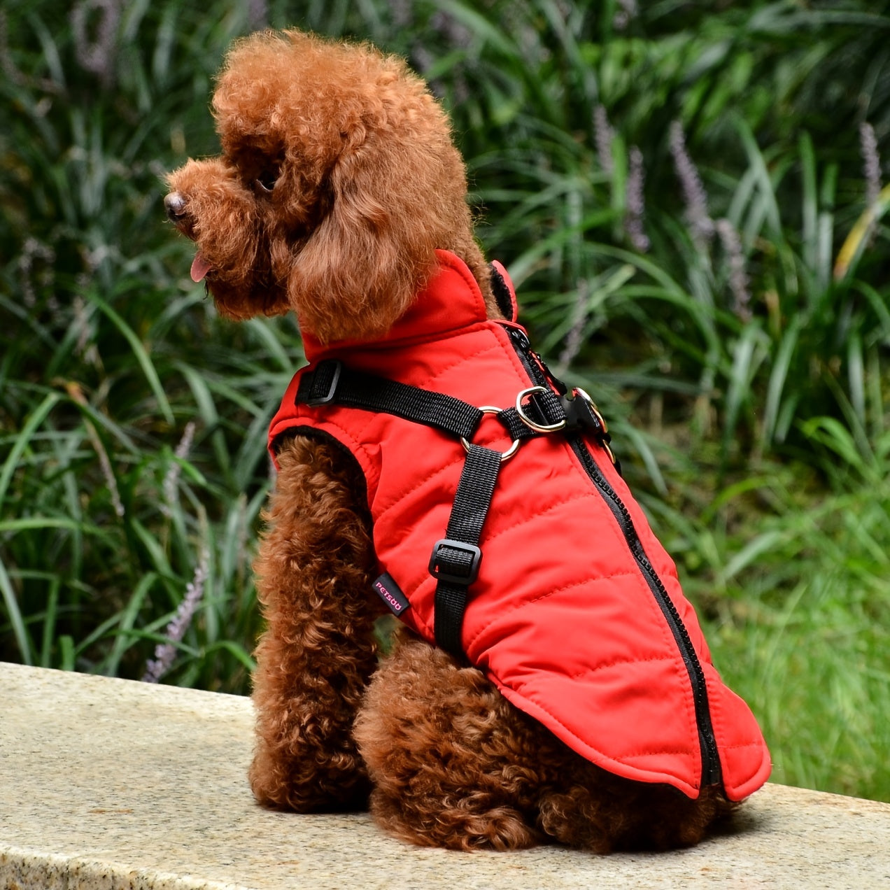 Gilet rembourré chaud pour chien avec harnais pour petits et moyens chiens - Manteau rouge pour plus de confort et de sécurité Cadeau de Noël