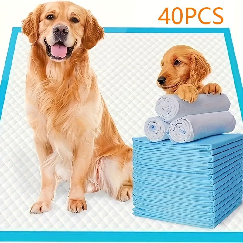 Tapis d'apprentissage de la propreté pour grand chien - Absorption rapide et contrôle des odeurs
