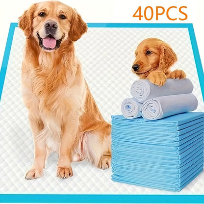 Tapis d'apprentissage de la propreté pour grand chien - Absorption rapide et contrôle des odeurs