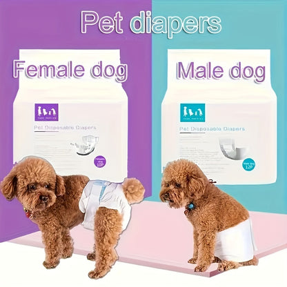 Couches pour animaux de compagnie Culottes pour chiens mâles et femelles 