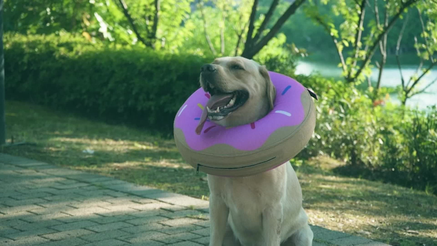 Aufblasbares kegelförmiges Hundehalsband – weiche und bequeme Genesungshilfe 