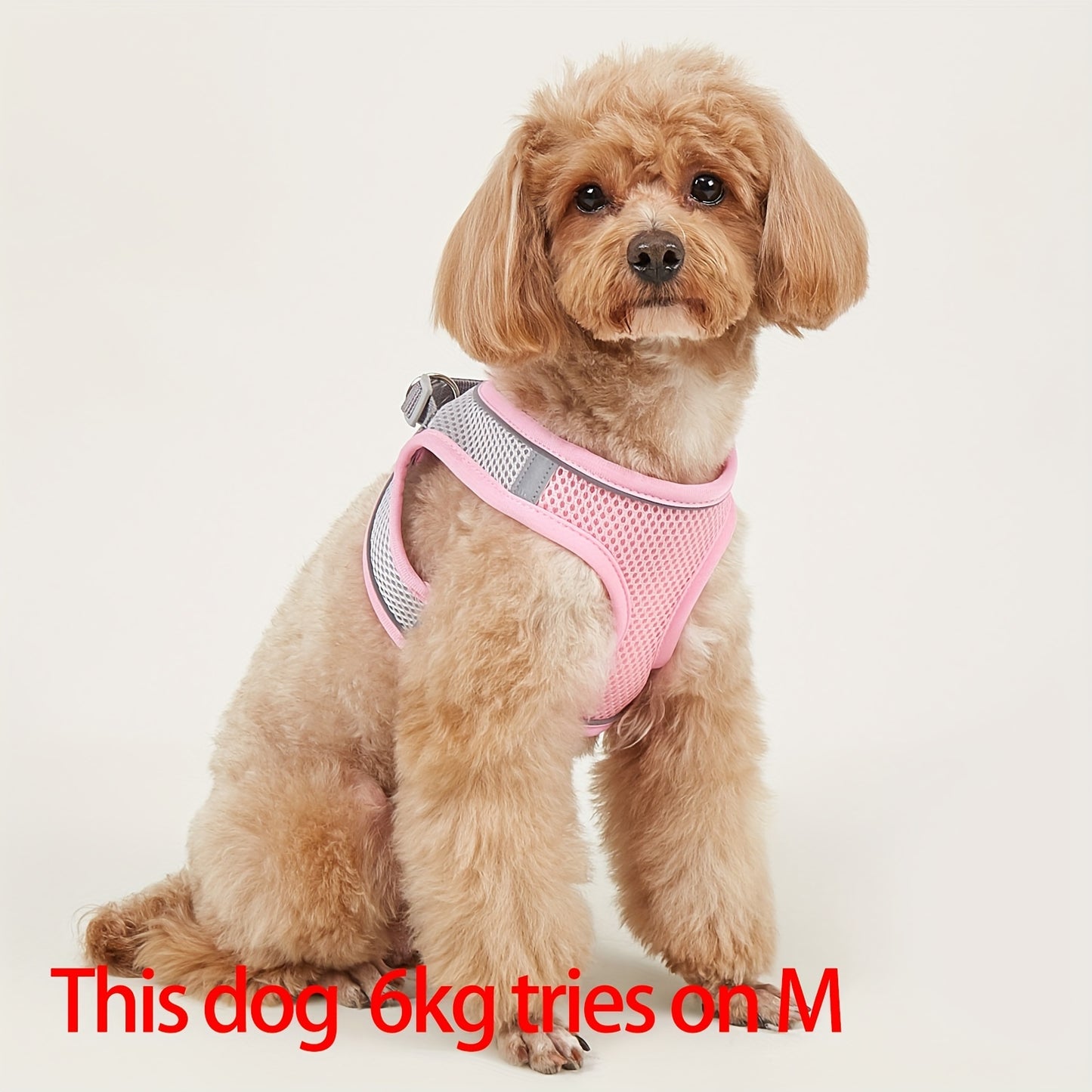 Harnais confortable et sûr pour animaux de compagnie – Gilet en maille souple avec bande réfléchissante pour petits chiens et chats