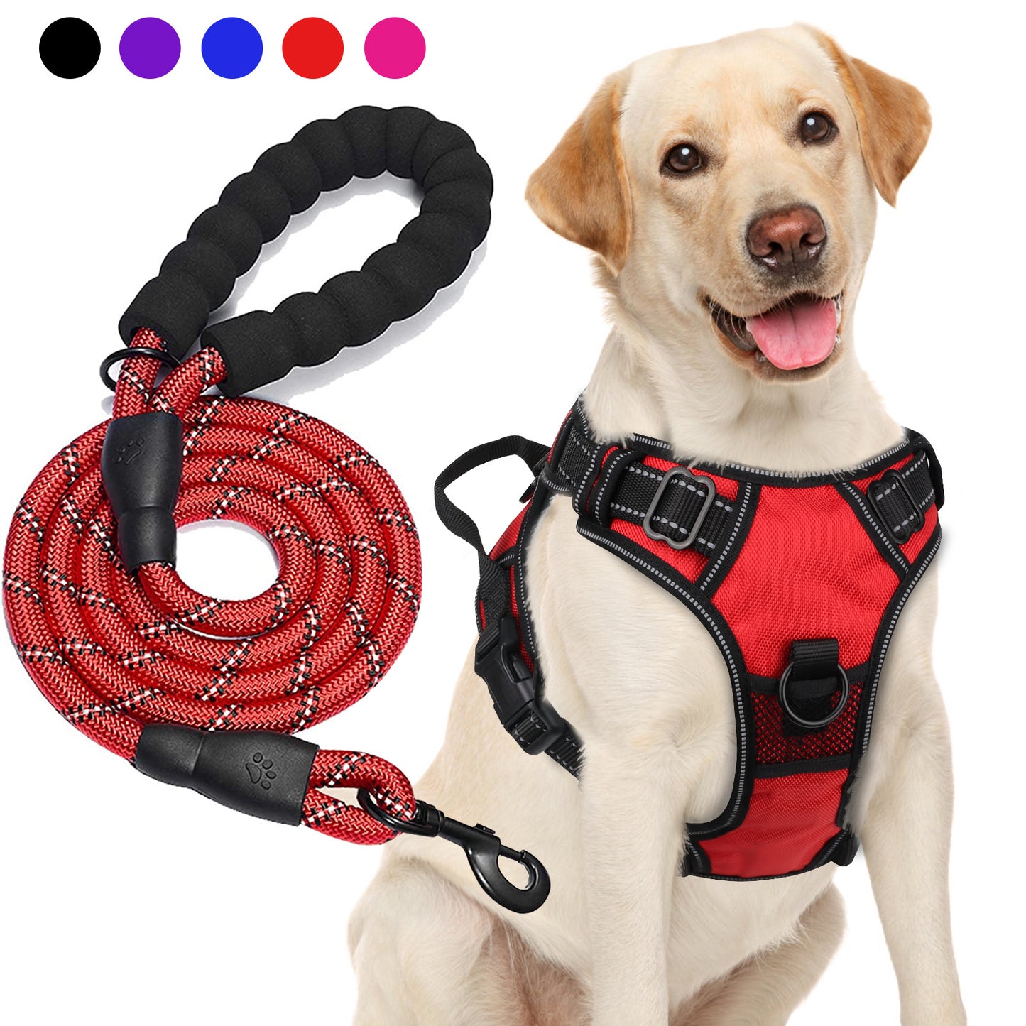 Ensemble harnais et laisse réfléchissants pour chien - Réglable et durable