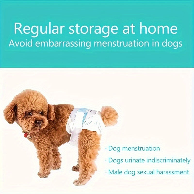 Couches pour animaux de compagnie Culottes pour chiens mâles et femelles 