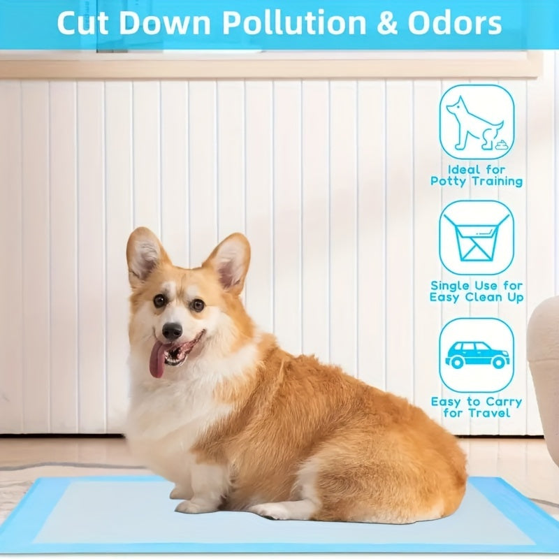 Tapis d'apprentissage de la propreté pour grand chien - Absorption rapide et contrôle des odeurs