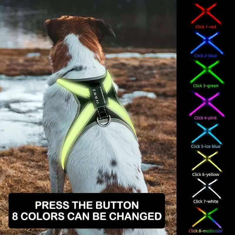 Gilet LED rechargeable pour animaux de compagnie à 8 couleurs - Gardez votre chien en sécurité et visible la nuit avec des lumières clignotantes - Convient aux chiens de taille moyenne et grande