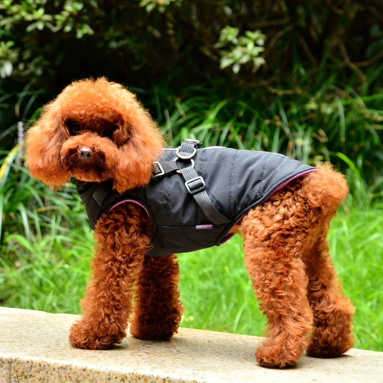Gilet rembourré chaud pour chien avec harnais pour petits et moyens chiens - Manteau rouge pour plus de confort et de sécurité Cadeau de Noël